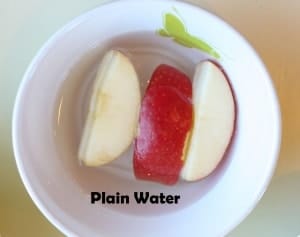 How to Prevent Sliced Fruit From Turning Brown. No more brown apples in my salad! We use this trick every time!